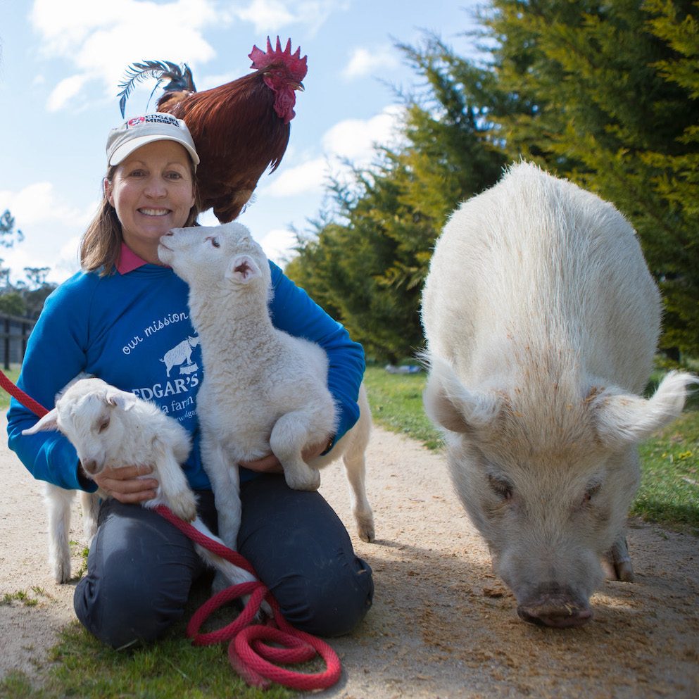 Pam Ahern with mengarie of sweet friends at Edgar's Mission sanctuary for rescued farmed animals