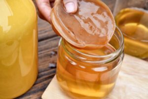 Hand holding kombucha SCOBY